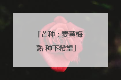 芒种：麦黄梅熟 种下希望