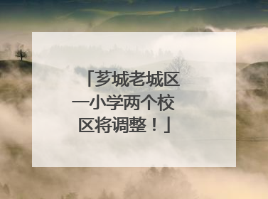 芗城老城区一小学两个校区将调整！