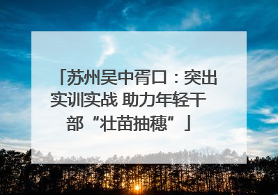 苏州吴中胥口：突出实训实战 助力年轻干部“壮苗抽穗”
