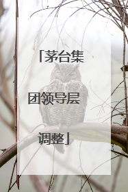 茅台集团领导层调整