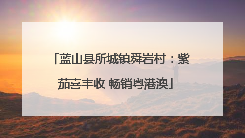 蓝山县所城镇舜岩村：紫茄喜丰收 畅销粤港澳