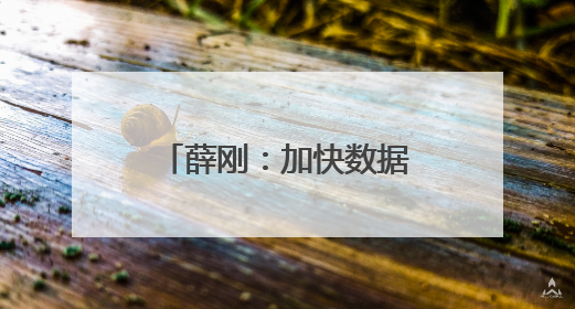 薛刚：加快数据要素市场化改革
