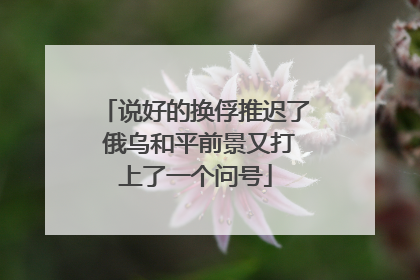 说好的换俘推迟了 俄乌和平前景又打上了一个问号