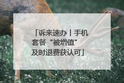 诉来速办丨手机套餐“被增值” 及时退费获认可