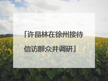许昆林在徐州接待信访群众并调研