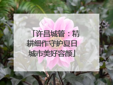 许昌城管：精耕细作守护夏日城市美好容颜