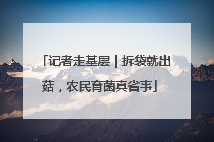 记者走基层｜拆袋就出菇，农民育菌真省事