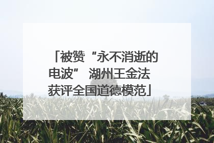 被赞“永不消逝的电波” 湖州王金法获评全国道德模范