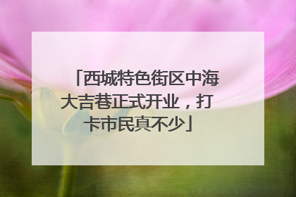 西城特色街区中海大吉巷正式开业，打卡市民真不少