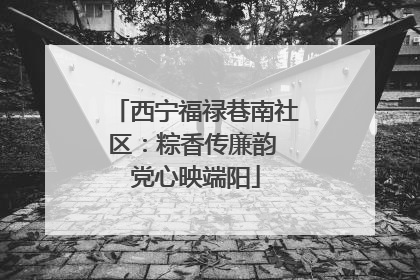 西宁福禄巷南社区：粽香传廉韵 党心映端阳
