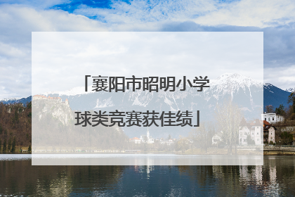 襄阳市昭明小学球类竞赛获佳绩