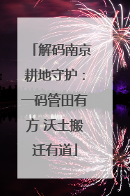 解码南京耕地守护：一码管田有方 沃土搬迁有道
