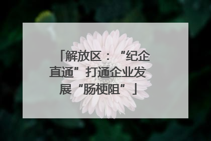 解放区：“纪企直通”打通企业发展“肠梗阻”