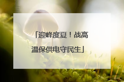 迎峰度夏！战高温保供电守民生