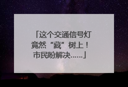 这个交通信号灯竟然“藏”树上！市民盼解决……