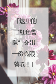 这里的“红色警队”交出一份亮眼答卷！
