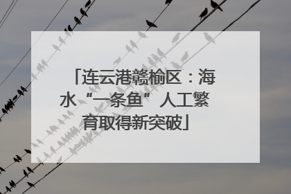 连云港赣榆区：海水“一条鱼”人工繁育取得新突破
