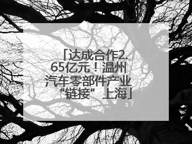 达成合作2.65亿元！温州汽车零部件产业“链接”上海