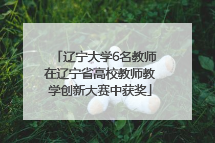 辽宁大学6名教师在辽宁省高校教师教学创新大赛中获奖