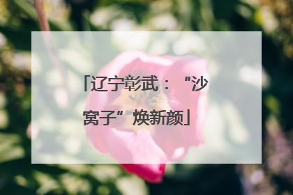 辽宁彰武：“沙窝子”焕新颜