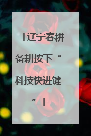 辽宁春耕备耕按下“科技快进键”