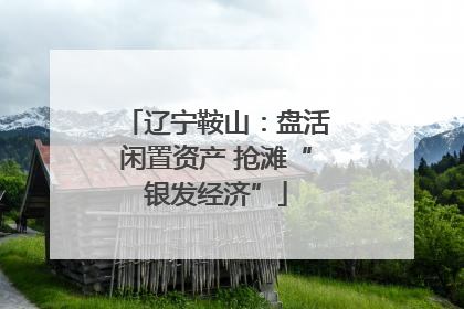 辽宁鞍山：盘活闲置资产 抢滩“银发经济”