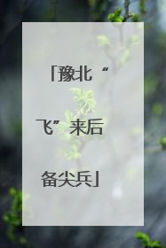 豫北“飞”来后备尖兵