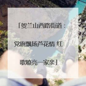 贺兰山西路街道：党旗飘扬芦花情 红歌嘹亮一家亲