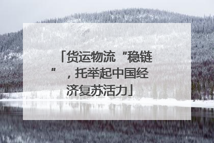 货运物流“稳链”，托举起中国经济复苏活力