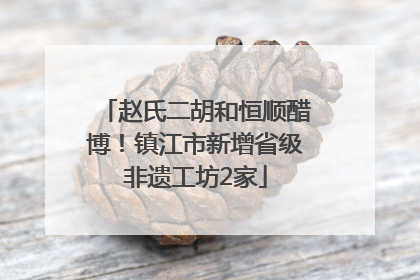 赵氏二胡和恒顺醋博！镇江市新增省级非遗工坊2家