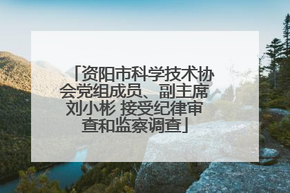 资阳市科学技术协会党组成员、副主席刘小彬 接受纪律审查和监察调查