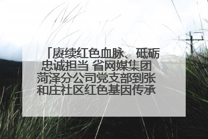 赓续红色血脉、砥砺忠诚担当 省网媒集团菏泽分公司党支部到张和庄社区红色基因传承馆开展主题党日活动