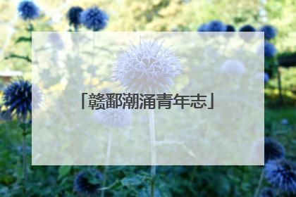 赣鄱潮涌青年志