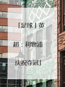足球丨英超：利物浦庆祝夺冠
