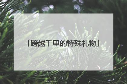 跨越千里的特殊礼物