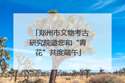 郑州市文物考古研究院邀您和“青花”共度端午