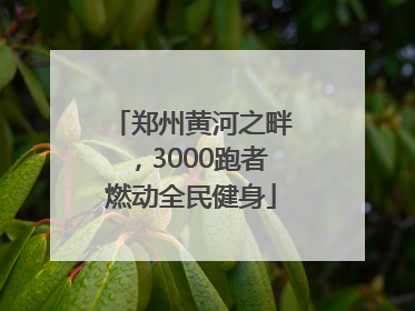 郑州黄河之畔，3000跑者燃动全民健身