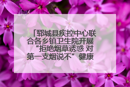 郓城县疾控中心联合各乡镇卫生院开展“拒绝烟草诱惑 对第一支烟说不”健康教育宣传活动
