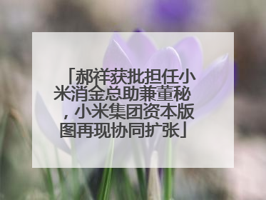 郝祥获批担任小米消金总助兼董秘，小米集团资本版图再现协同扩张