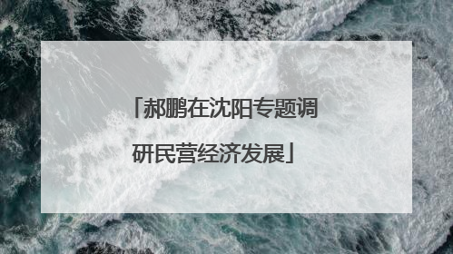 郝鹏在沈阳专题调研民营经济发展