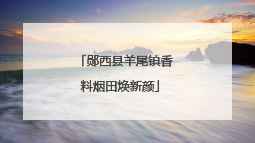 郧西县羊尾镇香料烟田焕新颜