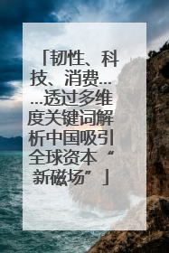 韧性、科技、消费……透过多维度关键词解析中国吸引全球资本“新磁场”