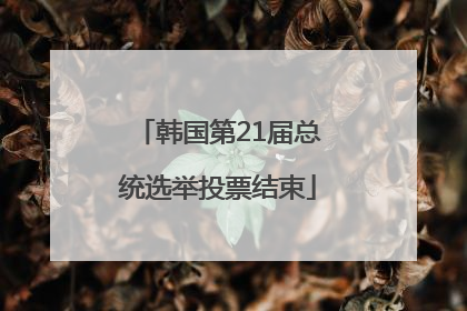 韩国第21届总统选举投票结束
