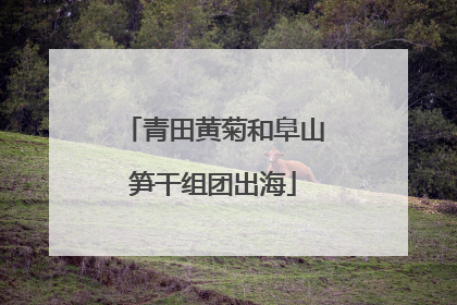 青田黄菊和阜山笋干组团出海