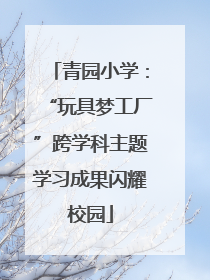 青园小学：“玩具梦工厂”跨学科主题学习成果闪耀校园