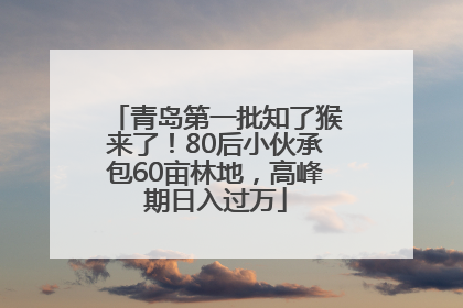 青岛第一批知了猴来了！80后小伙承包60亩林地，高峰期日入过万