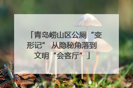 青岛崂山区公厕“变形记” 从隐秘角落到文明“会客厅”