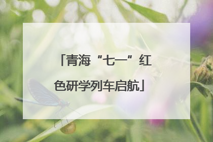 青海“七一”红色研学列车启航