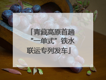 青藏高原首趟“一单式”铁水联运专列发车