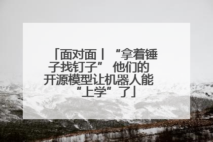 面对面丨“拿着锤子找钉子” 他们的开源模型让机器人能“上学”了
